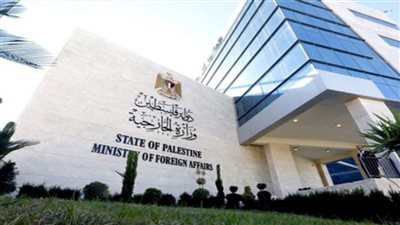 الخارجية الفلسطينية: الاحتلال يواصل حماية 