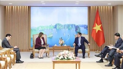 رئيس الوزراء الفيتنامي يستقبل سفيرة مصر في فيتنام ويثمن تنظيم مصر 