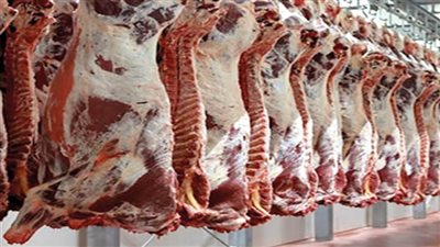 موزمبيق: حظر استيراد اللحوم من زيمبابوي بسبب الحمى القلاعية