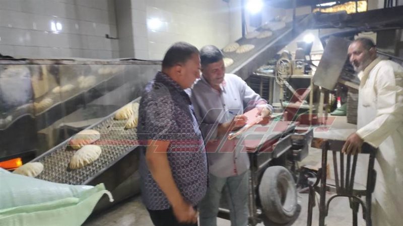 المهندس شريف هيكل