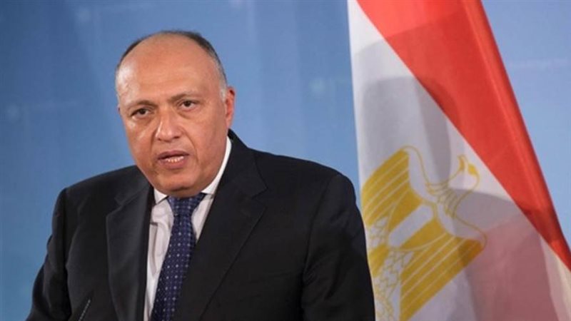 وزير الخارجية سامح