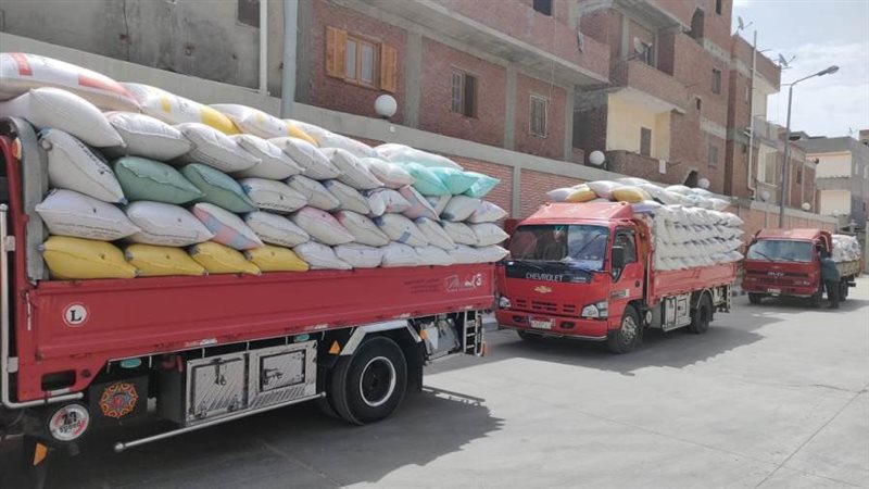 توريد القمح للصوامع