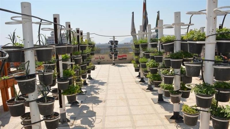 جانب من نموذج جامعة