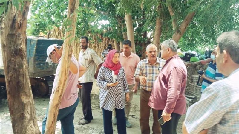 حملة ازالة المبانى