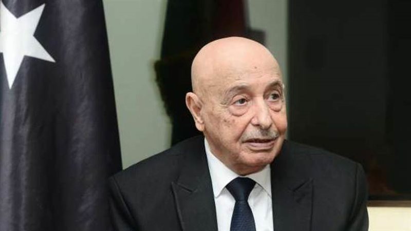 رئيس مجلس النواب