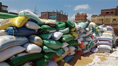 تحرير 61 محضرا للمزارعين بمركز المحلة الكبرى لعدم توريد محصول القمح