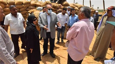 ارتفاع توريد القمح لـ165 ألف طن بأسيوط