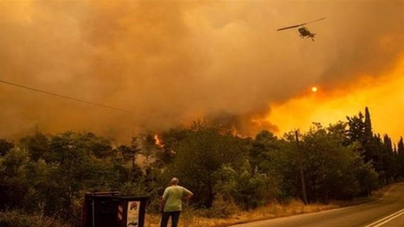 حرائق الغابات - ارشيفية