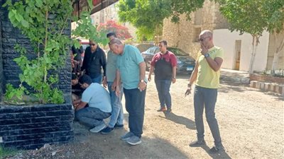 حملة مكبرة لرفع الإشغالات بحي ثالث الإسماعيلية 