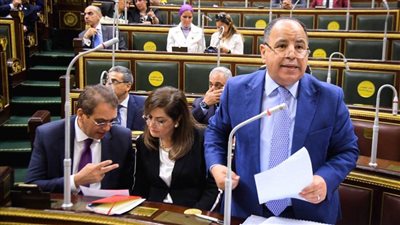 وزير المالية: الحكومة ستتعامل بجدية مع ملاحظات النواب.. وخطة للتحول الرقمي