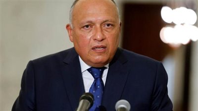 وزير الخارجية يبحث مع دوق لوكسمبورج سبل الارتقاء بالعلاقات الثنائية بمختلف المجالات