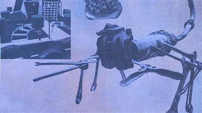 معرض فنى من المواد الطبيعية لطلاب 