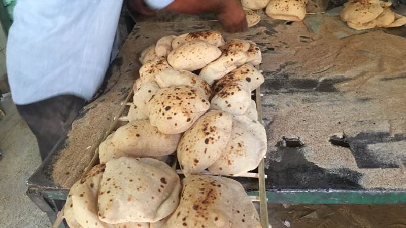 جانب من الحملات