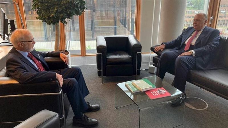 سامح شكري مع رئيس