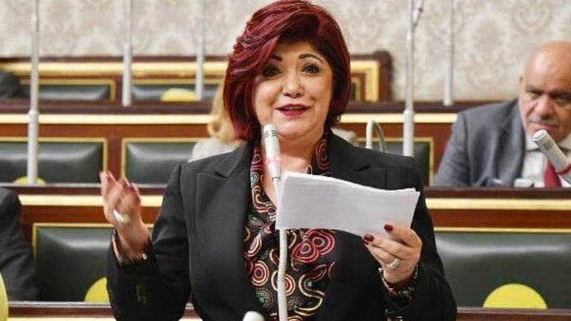 النائبة نورا علي