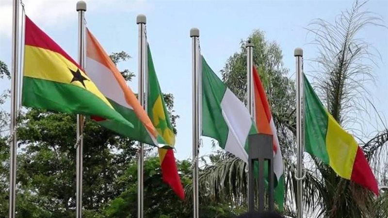 المجموعة الاقتصادية