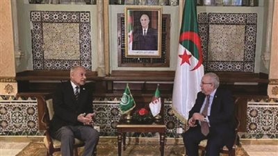 أبوالغيط: ناقشت مع الرئيس تبون تطورات الأوضاع العربية والقمة العربية المقبلة