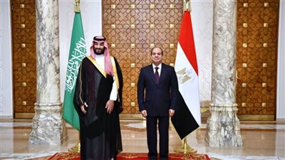  مصر والسعودية تؤكدان حرصهما على أمن واستقرار لبنان