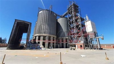 شون وصوامع تستقبل 234054 طنا و669 كيلو قمح كفر الشيخ