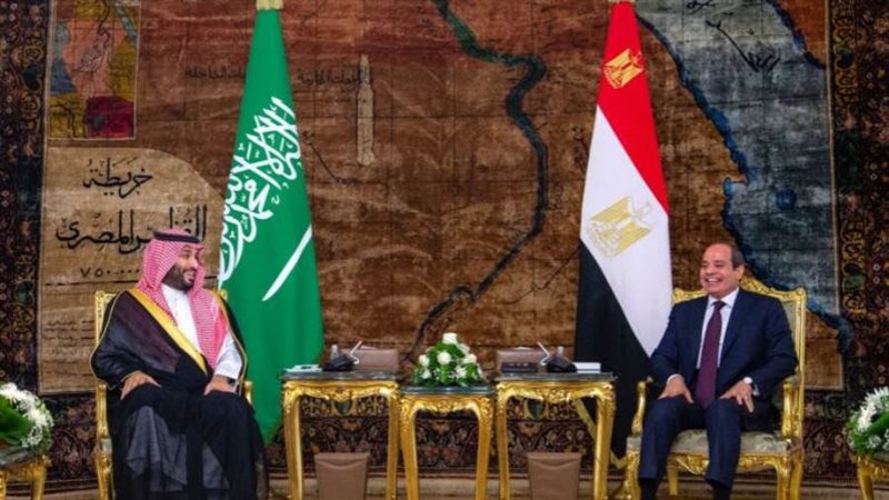 الرئيس السيسي وولي