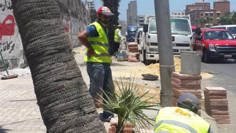 تقليم الاشجار بحي