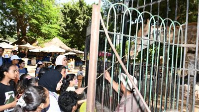 الأوقاف تطلق أولى رحلات البرنامج الصيفي للأطفال 