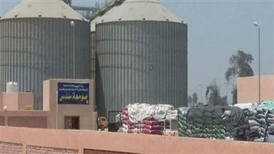 استلام 229 ألفا و288 طن قمح بنسبة 