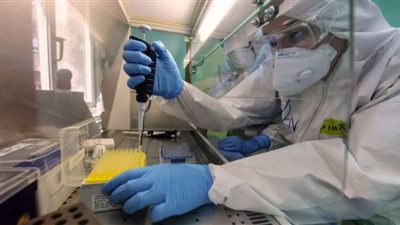 أيرلندا: المتغيرات الفرعية الجديدة من 