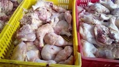 ضبط دواجن منتهية الصلاحية داخل مخزن بدون ترخيص بالقاهرة