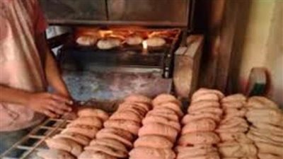 غلق مخبزين بلديين بـ”المنوفية“ لمخالفتهما اللوائح والقوانين