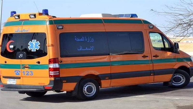 الشابان الضحية