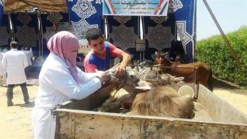 جانب من القافلة