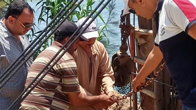 لعدم توافر وسائل الأمان.. غلق وتشميع معدية تعمل على الريّاح البحيري بالبحيرة