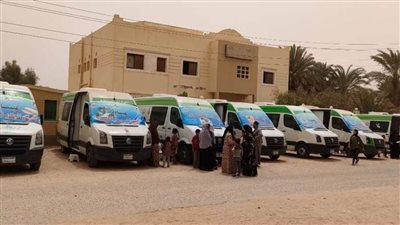 حياة كريمة اليوم الاثنين.. قافلة طبية لأهالي هور بملوى جنوب المنيا