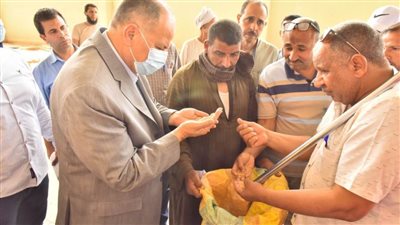 محافظ أسيوط يعلن عن توريد 168 ألفًا و651 طن قمح محلي إلى 30 شونة وصومعة بالمراكز حتى اليوم