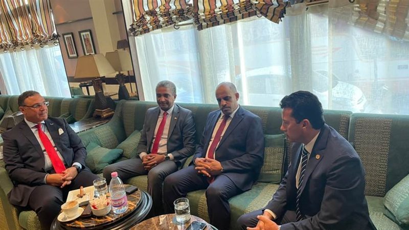 د. أشرف صبحى