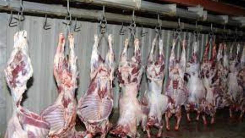 الأضحية وضمان جودة