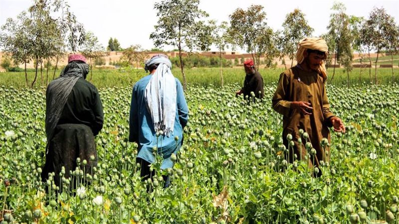 الإنتاج غير المشروع