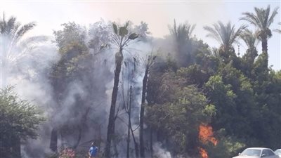 السيطرة على حريقين بشقة وفيللا دون خسائر بالأرواح بالقليوبية 