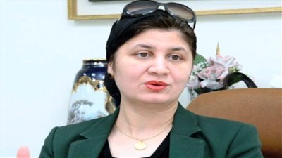 رئيس المركز الإعلامي لمجلس الوزراء: رفع الوعي يساعد على استقرار المجتمعات وتقدمها