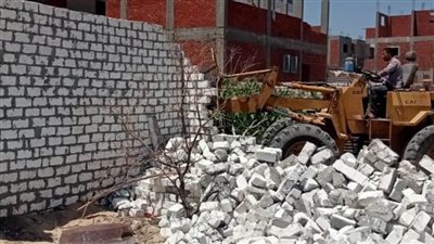 إزالة 18 حالة تعدٍ على الأراضي الزراعية وأملاك الدولة بالبحيرة