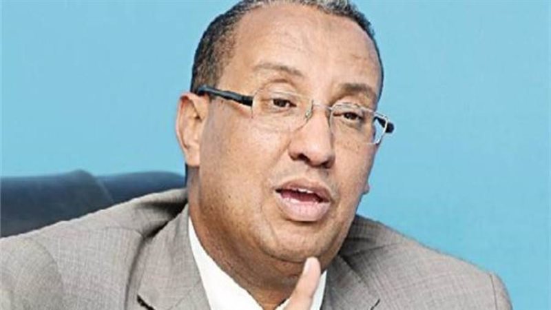 المهندس حسن الغندور