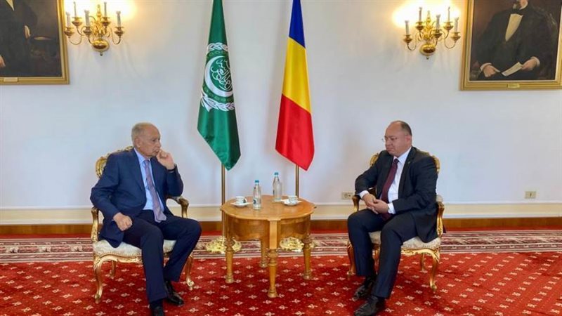 ابو الغيط مع وزير