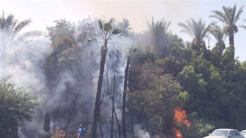 جانب من الحريق