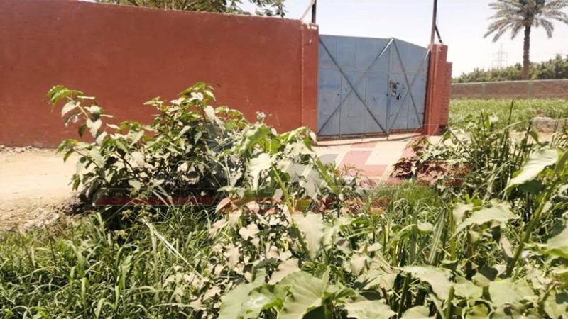 مزرعة القاتل في منطقة