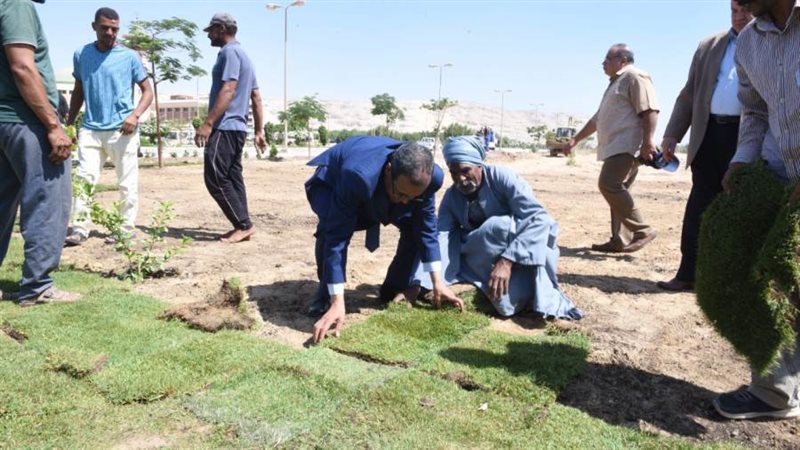 جانب من المشاركه