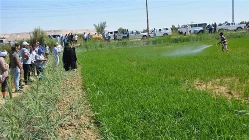 محافظ الوادى الجديد