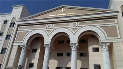 السجن 6 سنوات وغرامة 100 ألف جنيه لتاجري هيروين في الخصوص