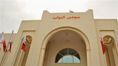 نواب بحرينيون: توافق كبير في المواقف والأهداف المشتركة بين المنامة والقاهرة