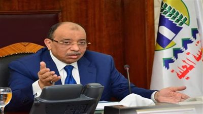 شعراوي: انتهاء المرحلة الثانية من البرنامج التدريبي كوادر الإدارة المحلية بقرى 